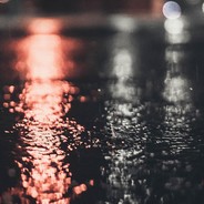 c鲨鱼离线辣椒s