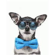 olegzlodei2012@gmail.com