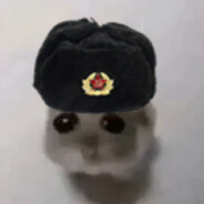 gatosovietico