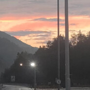 仙人抚我顶 结发受长生