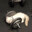 TheFitnessGamer