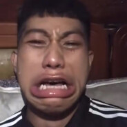 翻斗花园的爱哭鬼.