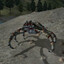 Mud Crab