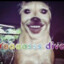 Bobce