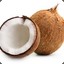 An Austistic Coconut