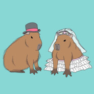 /RX\kapibarojka#TMKBUD