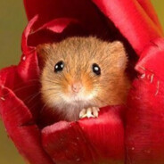 我还以为我被困在小黑屋里永远都出不来了呢