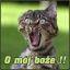 Bulitt