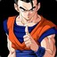 Gohan Definitivo!!!!