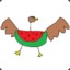 WatermelonDuck