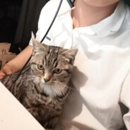 梳着中分头的ikun（身份模式）