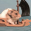 Hamster on boat: sinking :(