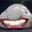 50Km/h Peek BlutyHal