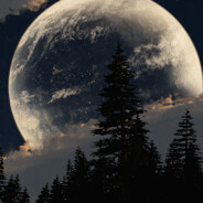 京海市强盛集团高启强