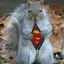 Super Squirrel