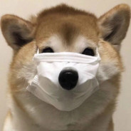 go圈首席猎妈人