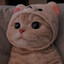 ula