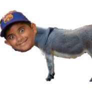 sebertilstorfednegerpik