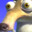 Scrat
