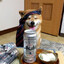 Koji
