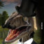 A_Raptor