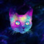 Space_Cat