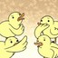 A Bunch of Baby Ducks