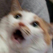 勇敢墨墨不怕困难