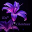 -=[K o P]=- | Chantuuu