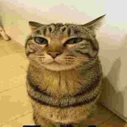 The l Cool l VACUUMBRO