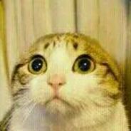 敬肘不吃吃罚肘