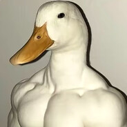 Mr Duck