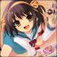 suzumiya.neko