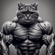 MrMeowlympia