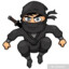 The Ninja