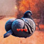hawktuahgaming69