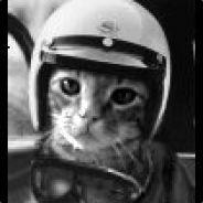 DrunkenCat - steam id 76561197970677033