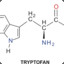 tryptofan