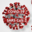 NOT COVID L4