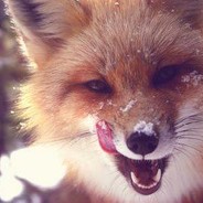 Fawkes Fox