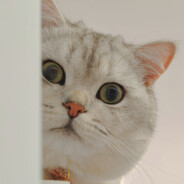 Zz涂涂不是猫头鹰