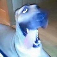 pennyS avatar