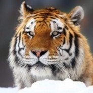 Erinalast - steam id 76561199389760898