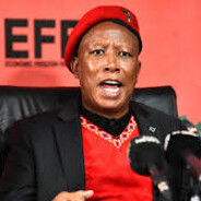 Honourable TelieTubby