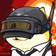 猫生九命我也是