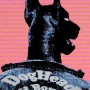 nord - steam id 76561198054352275