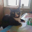 Avatar of player makyo