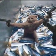 啊啊.......偶买噶特