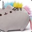 SpizganyPusheen