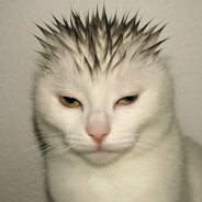 A N T O N Y A🏴‍☠